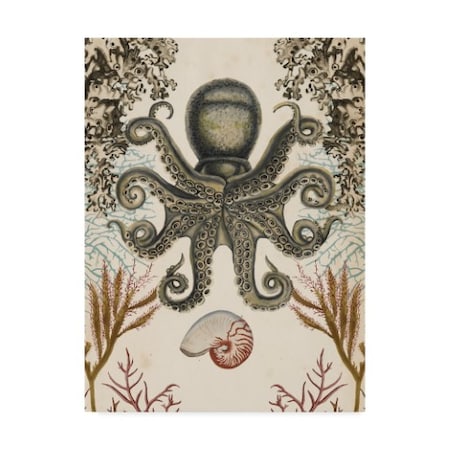 Naomi Mccavitt 'Antiquarian Menagerie Octopus' Canvas Art,14x19